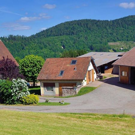 Chambres D'Hotes Hebergement F.Mathieu Saint-Maurice-sur-Moselle Ngoại thất bức ảnh