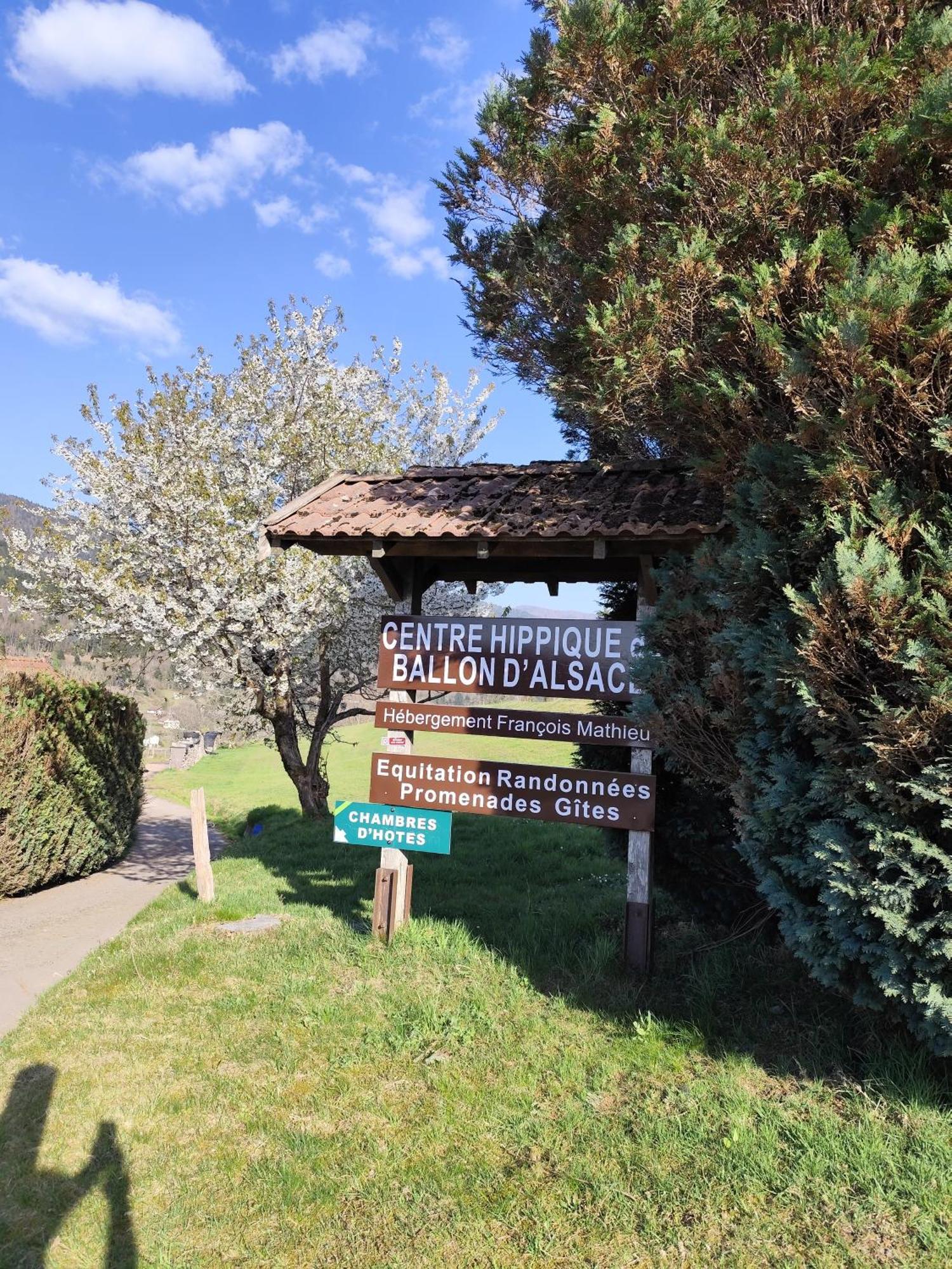 Chambres D'Hotes Hebergement F.Mathieu Saint-Maurice-sur-Moselle Phòng bức ảnh